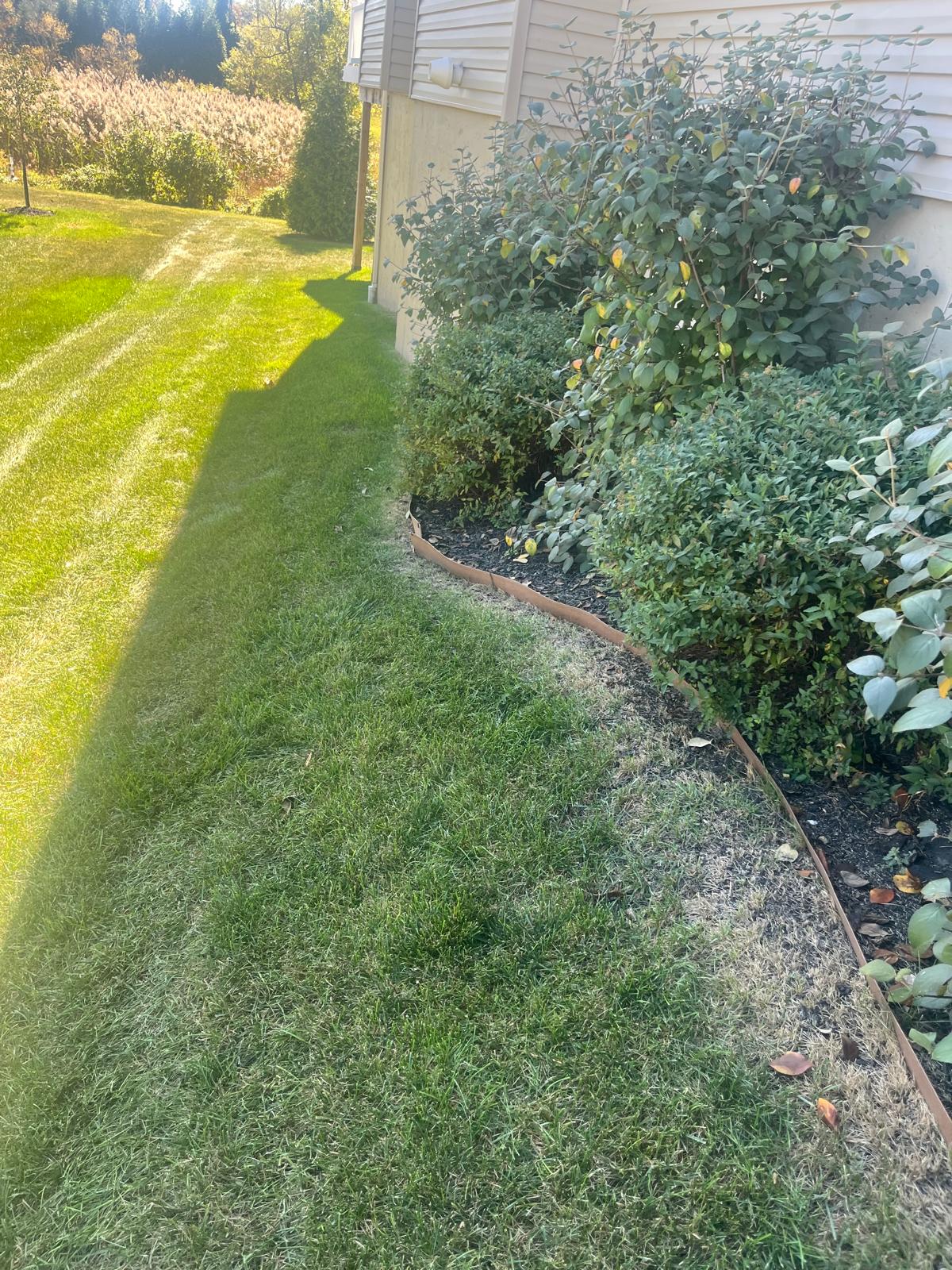 About THE GREENERY LANDSCAPING LLC